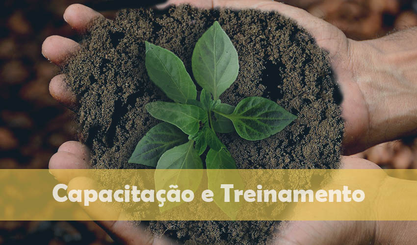 Capacitação e Treinamento